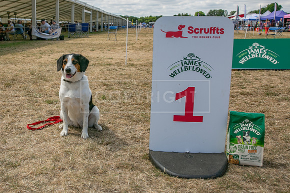 Scruffts Heat @ Windsor 29th June 2025-81