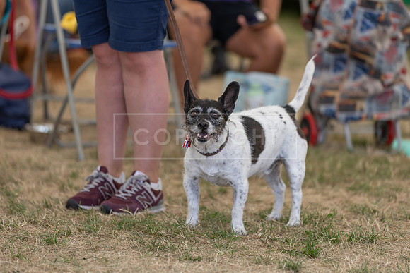 Scruffts Heat @ Windsor 29th June 2025-93