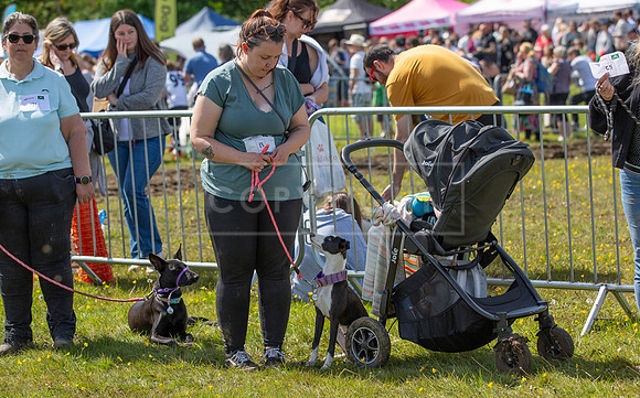 Scruffts @ Hylands Park 5th May 2024-056