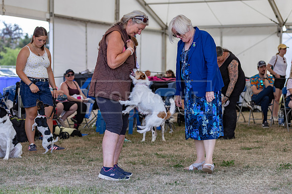 Scruffts Heat @ Windsor 29th June 2025-71