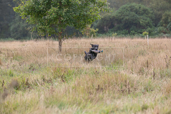 Jixenwell Scurry Challenge Final 2024-0506