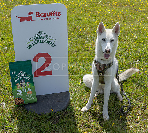 Scruffts @ Hylands Park 5th May 2024-067