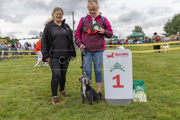 Scruffts Heat @ Shrewsbury 24th May 2025-87