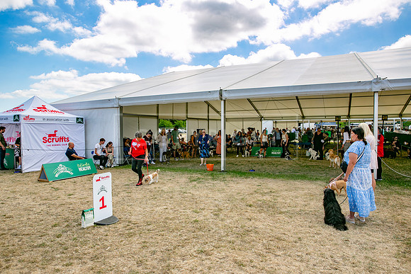 Scruffts Heat @ Windsor 29th June 2025-66