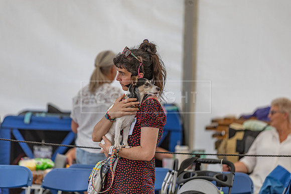 Scruffts Heat @ Windsor 29th June 2025-55