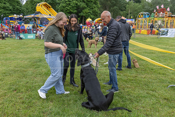 Scruffts Heat @ Shrewsbury 24th May 2025-26