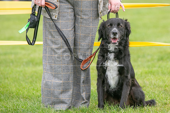 Scruffts Heat @ Shrewsbury 24th May 2025-11