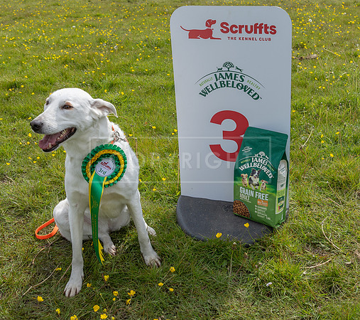 Scruffts @ Hylands Park 5th May 2024-109