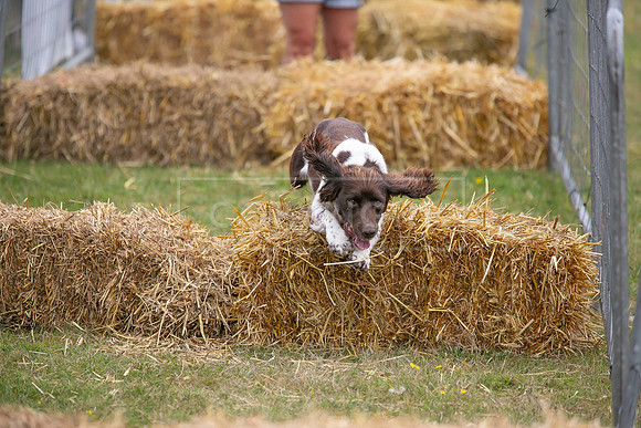 Jixenwell Scurry @ Sandringham 2024-004