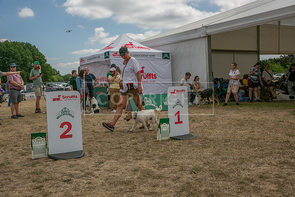 Scruffts Heat @ Windsor 29th June 2025-25