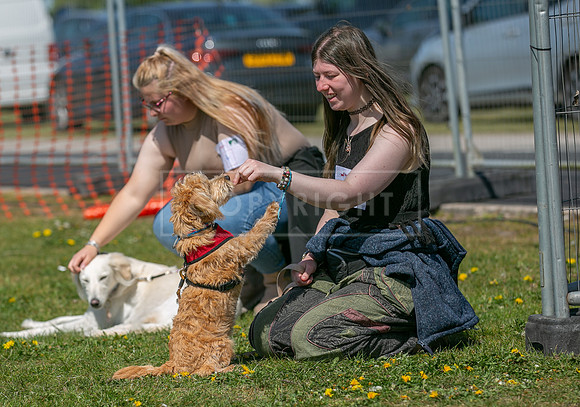 Scruffts @ Newark 27th April 2025-50