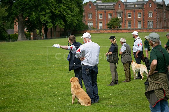 Int Retriever Day 1 -088