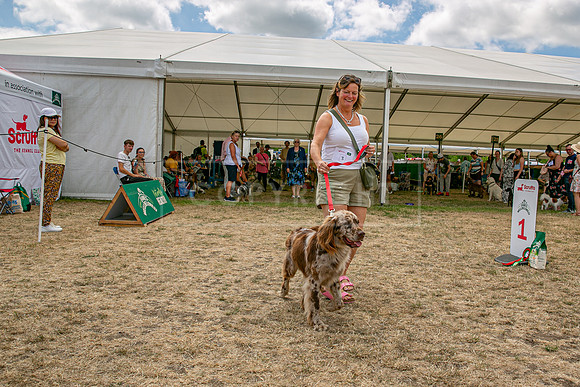 Scruffts Heat @ Windsor 29th June 2025-14