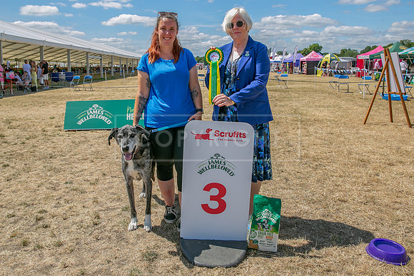 Scruffts Heat @ Windsor 29th June 2025-128