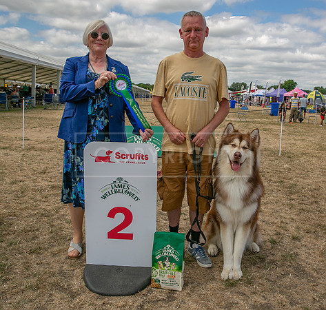 Scruffts Heat @ Windsor 29th June 2025-42