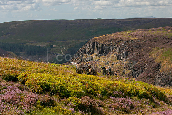 Upperwood 19th  Aug-271
