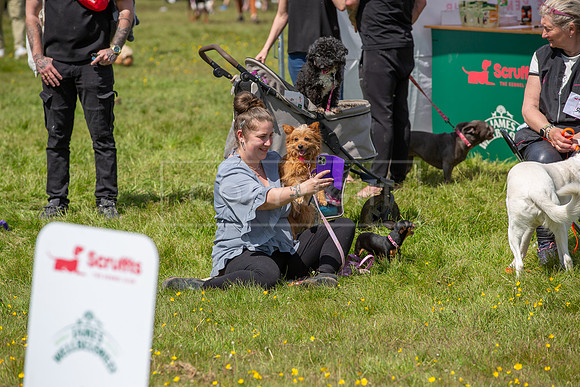 Scruffts @ Hylands Park 5th May 2024-046