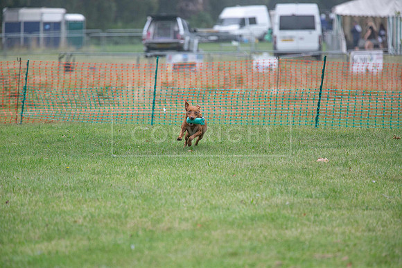 Jixenwell Scurry Challenge Final 2024-0149