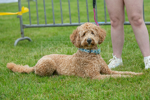 Scruffts Heat @ Shrewsbury 24th May 2025-22