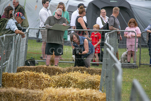Jixenwell Scurry @ Sandringham 2024-021