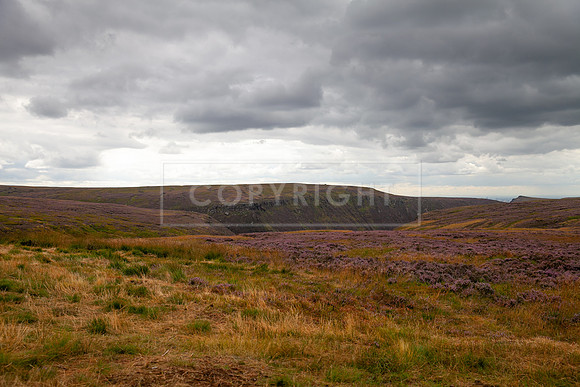 Upperwood 19th  Aug-326