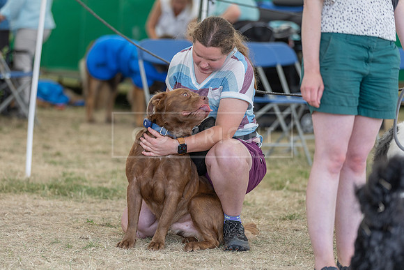 Scruffts Heat @ Windsor 29th June 2025-13