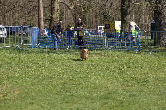Thoresby Sun 30th Mar 25-192