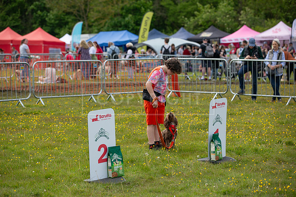Scruffts @ Hylands Park 5th May 2024-092