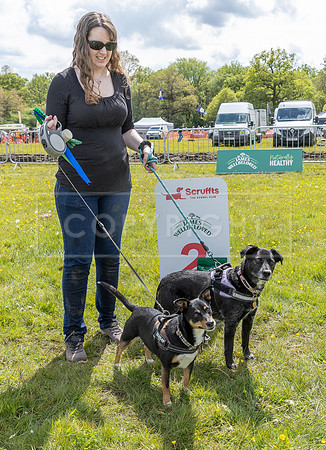 Scruffts @ Hylands Park 5th May 2024-085