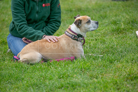 Scruffts Heat @ Shrewsbury 24th May 2025-81