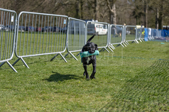Thoresby Sun 30th Mar 25-137