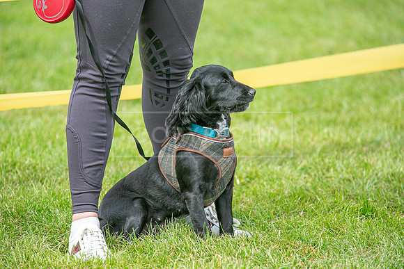 Scruffts Heat @ Shrewsbury 24th May 2025-54