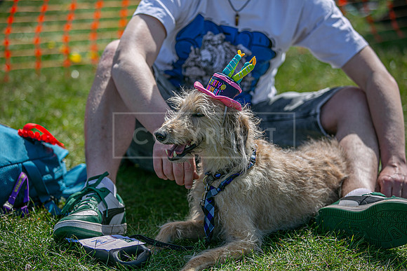 Scruffts @ Newark 27th April 2025-77