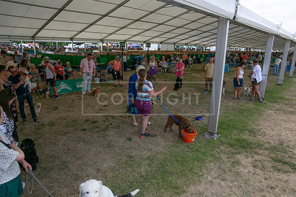 Scruffts Heat @ Windsor 29th June 2025-27
