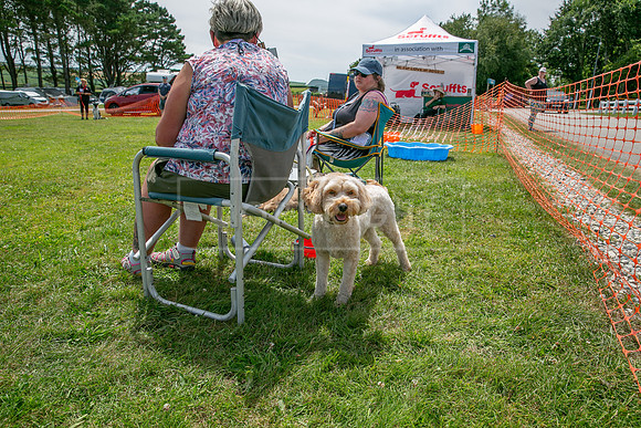 Scruffts heat @ Wadebridge 13th July 2025-138