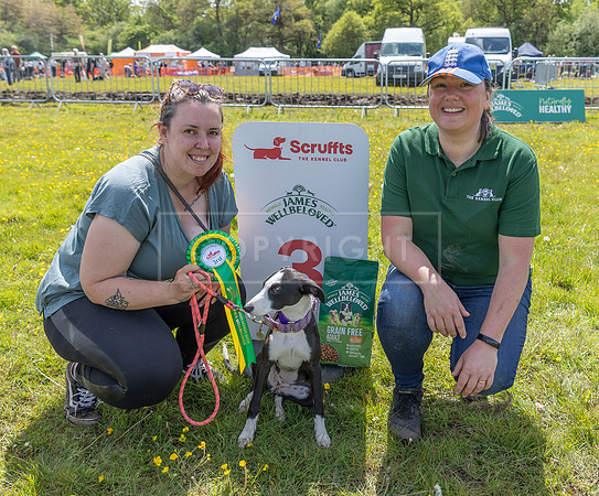 Scruffts @ Hylands Park 5th May 2024-065
