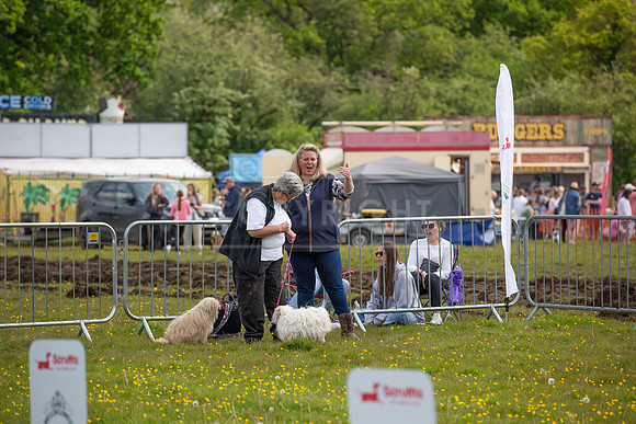 Scruffts @ Hylands Park 5th May 2024-095