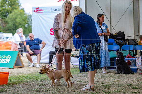 Scruffts Heat @ Windsor 29th June 2025-60