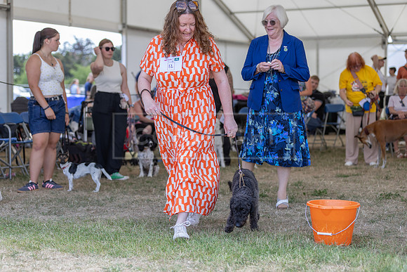 Scruffts Heat @ Windsor 29th June 2025-73