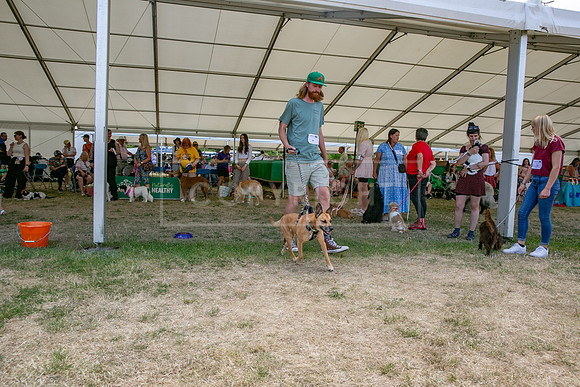 Scruffts Heat @ Windsor 29th June 2025-68