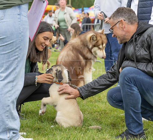 Scruffts Heat @ Shrewsbury 24th May 2025-25