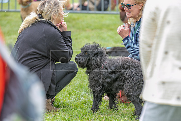 Scruffts Heat @ Shrewsbury 24th May 2025-98
