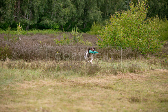 Ollerton 7th June 2025-248