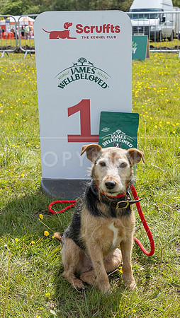 Scruffts @ Hylands Park 5th May 2024-084