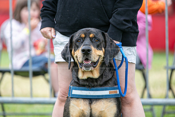 Scruffts Heat @ Shrewsbury 24th May 2025-16