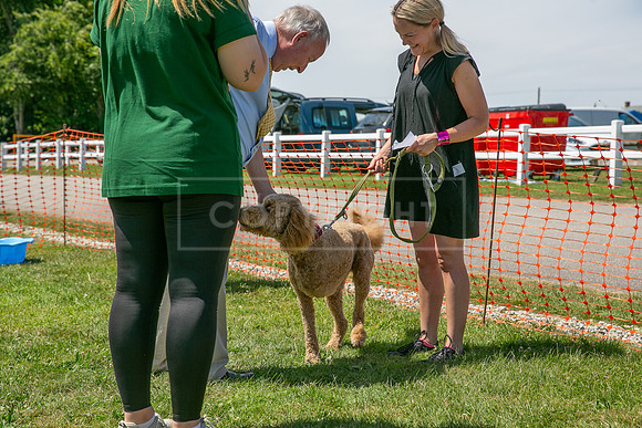 Scruffts heat @ Wadebridge 13th July 2025-62