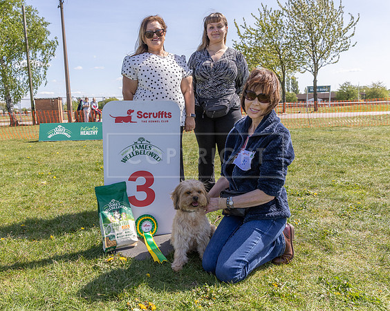 Scruffts @ Newark 27th April 2025-109