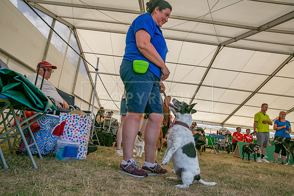 Scruffts Heat @ Windsor 29th June 2025-101