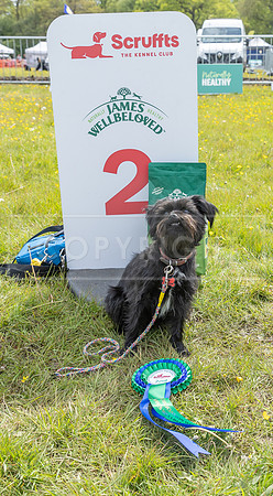 Scruffts @ Hylands Park 5th May 2024-106