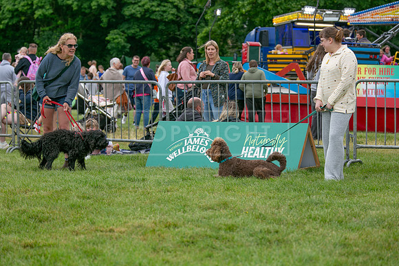 Scruffts Heat @ Shrewsbury 24th May 2025-94